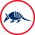 Armadillo Icon