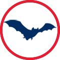Bat Icon