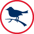 Bird Icon