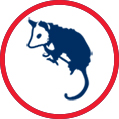 Oppusum Icon