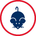 Rodents Icon