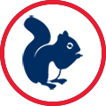 Squirrel Icon